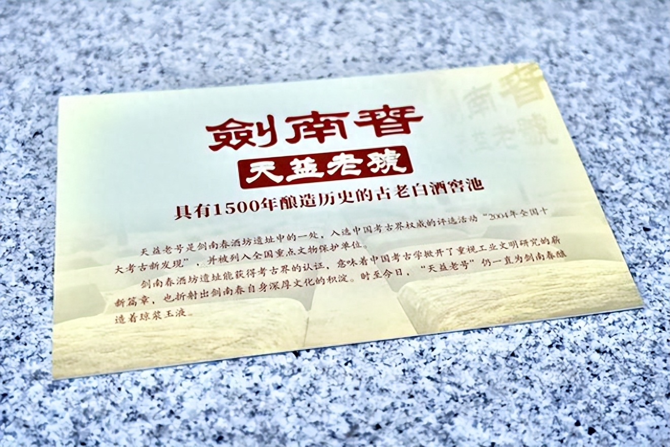 一面现代一面古代！剑南春限量版积木套装赏析