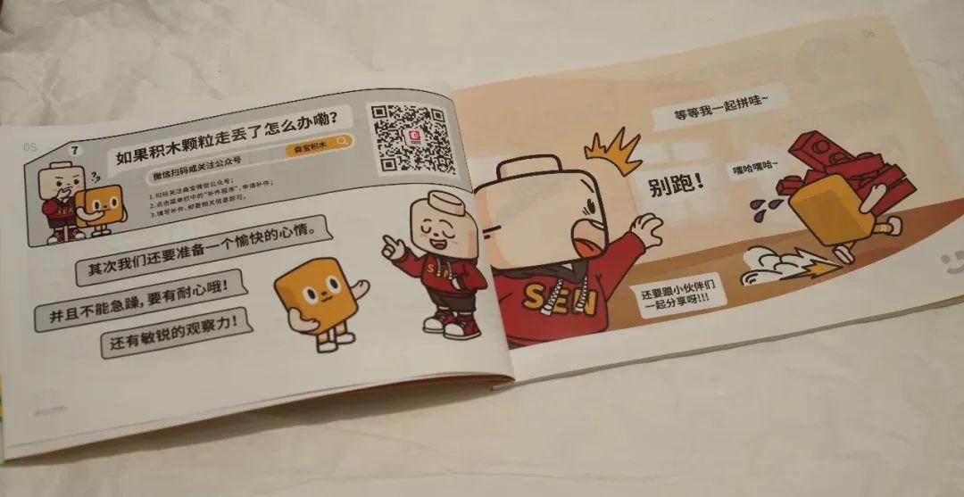 森宝积木 小刘鸭的双面世界